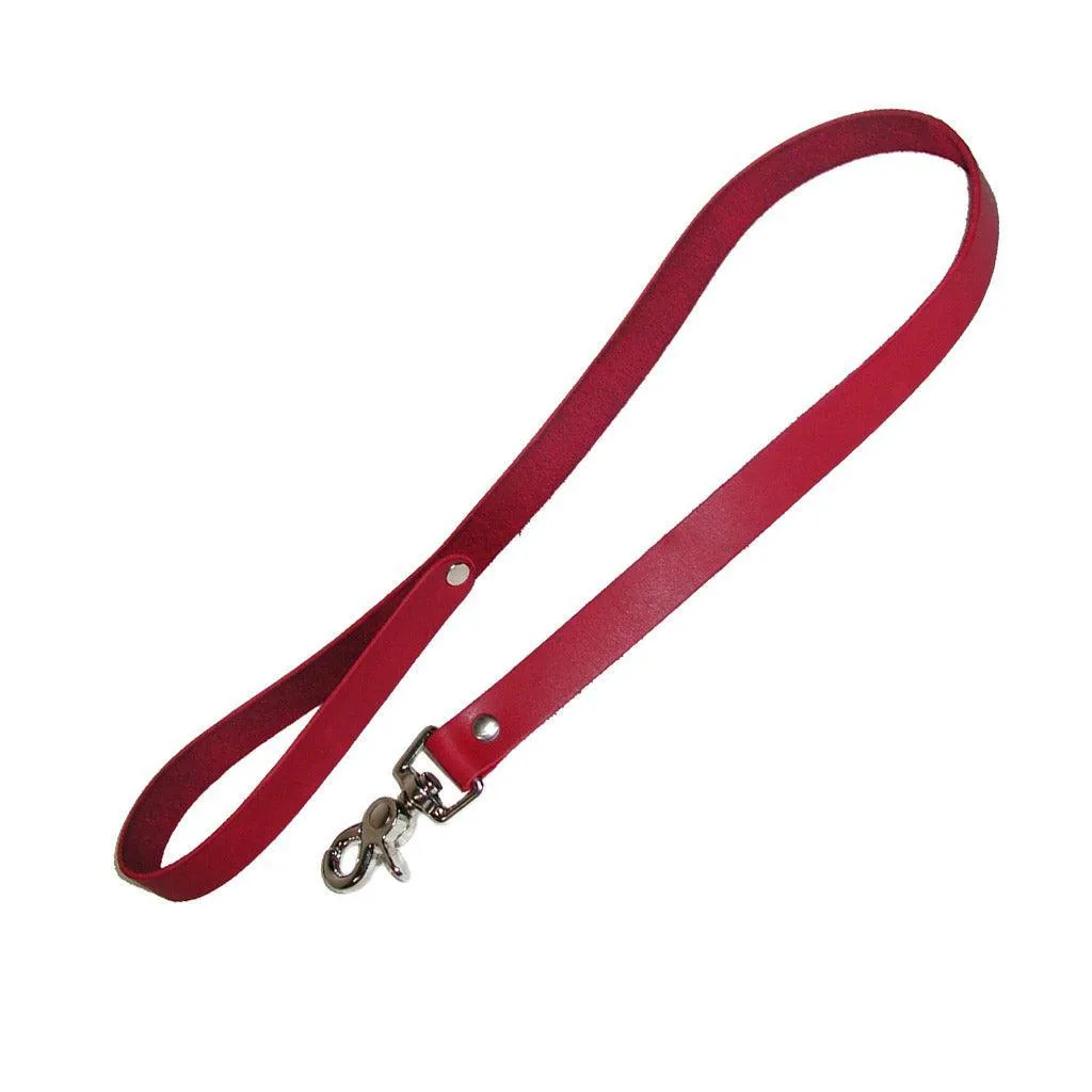 Leather Leash. 2.5'
