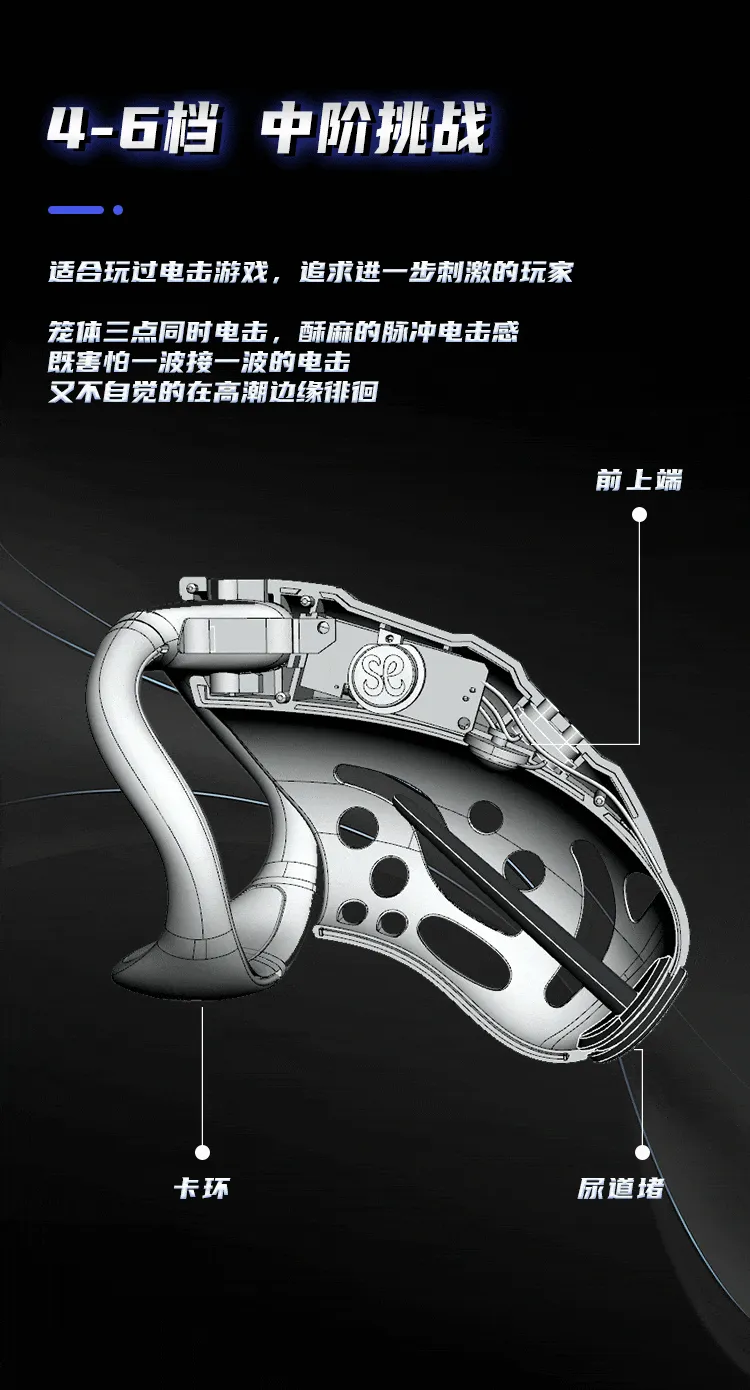 LOCKINK SEVANDA Nautilus Chastity Cage