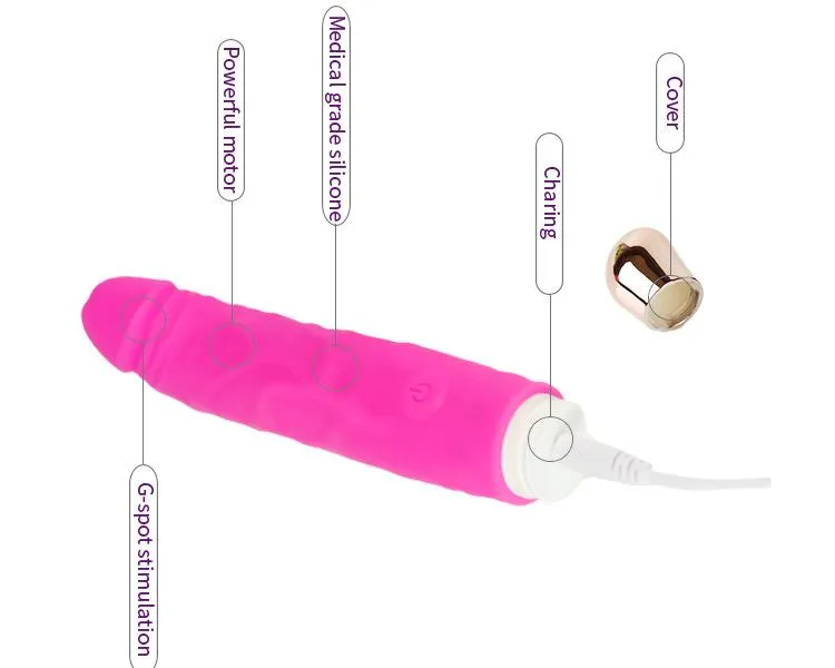 Strap-On Harness Kit with Vibration Silicone Dildos ( Random Color)