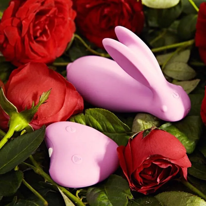 WOWYES Dual Women Rabbit Sex Waterproof Vibrator